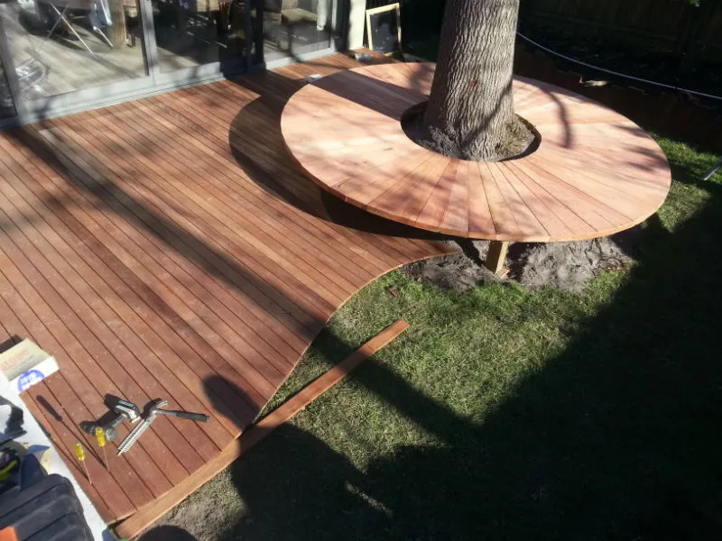 Beaumaris — Outdoor Living with a Tree at its Heart